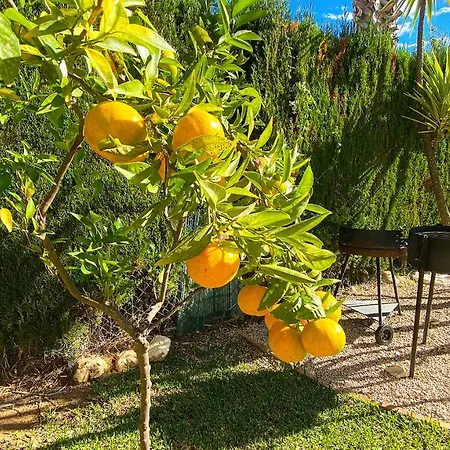 Villa El Palmar Ii *