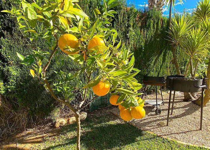 빌라 El Palmar Ii *